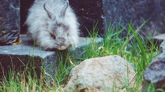 Почему кролики падают после спаривания