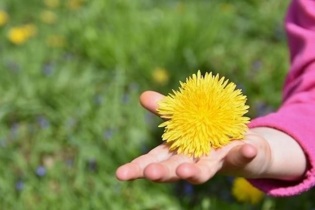 Почему желтеют листья малины весной