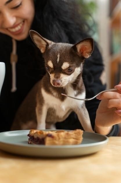 Почему кошка ничего не ест?