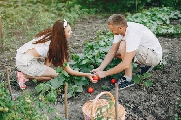 Причины увядания клубники на грядке