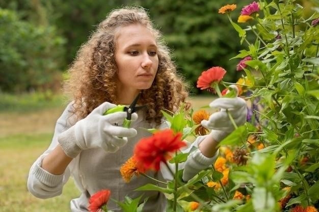 Причины отсутствия цветения садовой клубники