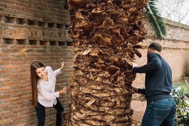 Причины усыхания самшита на улице