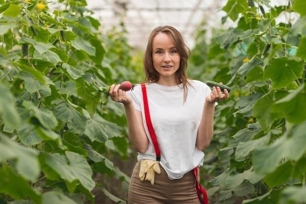 Причины пожелтения огурцов в теплице