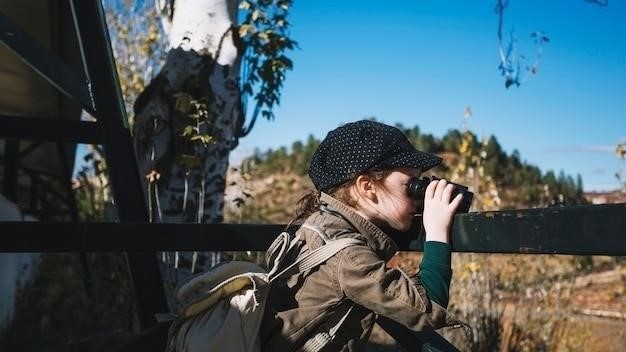 Почему обстреливают Белгородскую область