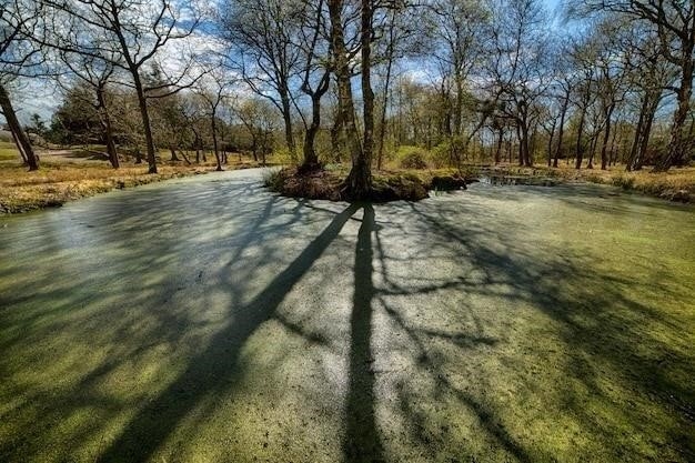 Возможные причины отсутствия воды в Донецке