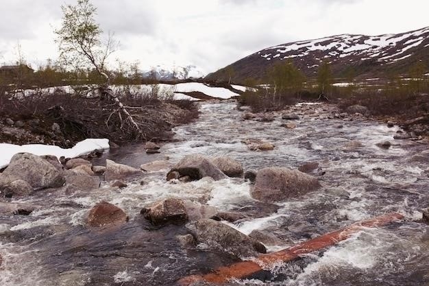 Почему растения в тундре низкорослые