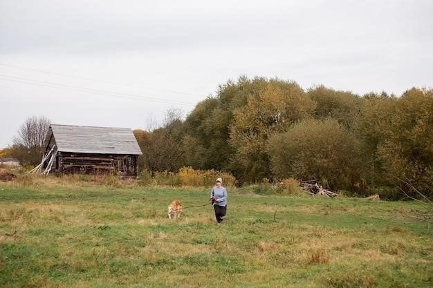 Поле как природное сообщество