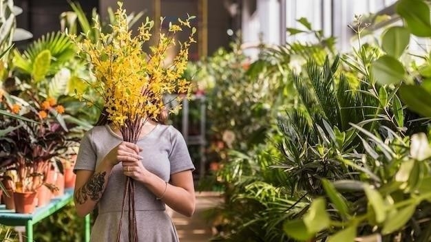 Почему желтеет укроп на грядке: основные причины и решения