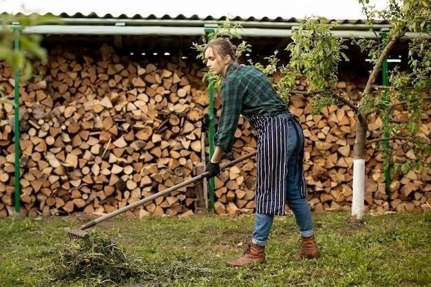 Причины усыхания самшита на улице