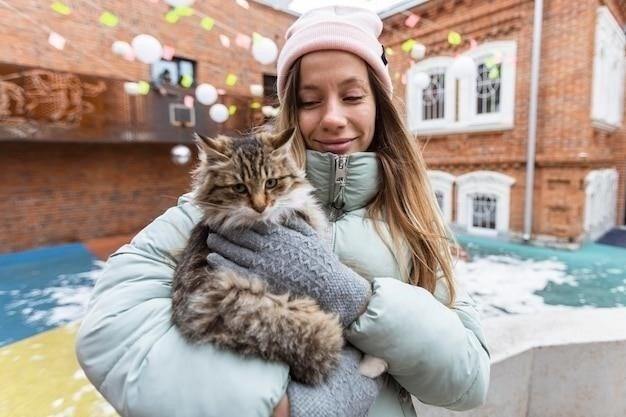 Почему в Турции любят котов