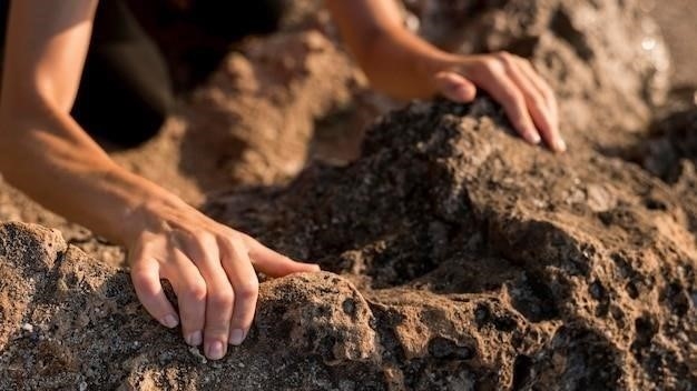 Почему человек должен охранять почву