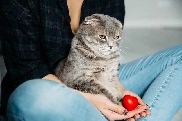 Возможные причины большого живота у котенка