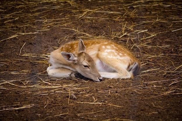 Почему кошки валяются в земле