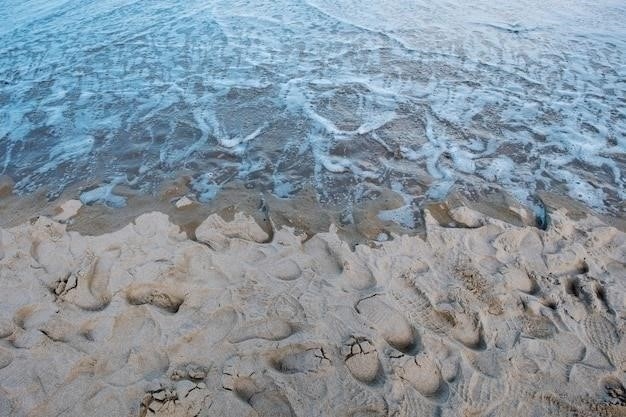 Почему вода в океане соленая