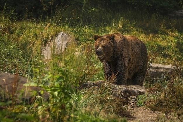 Физиологические изменения во время спячки у медведей