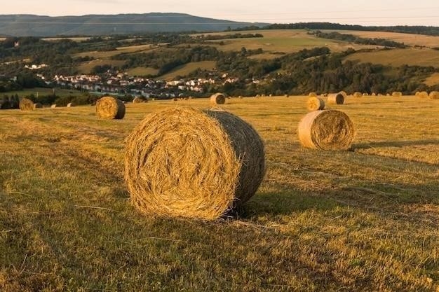 Сердцевина "е" в суффиксе