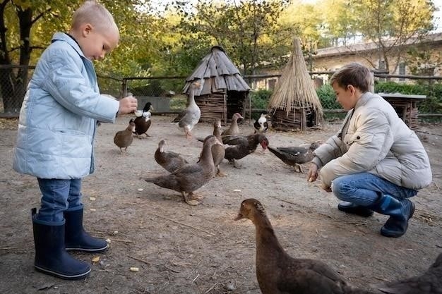 Почему индюшата клюют свой помет