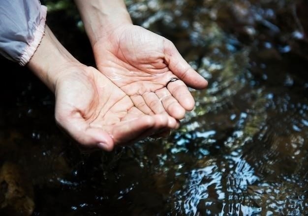 Факторы, влияющие на сохранность святой воды