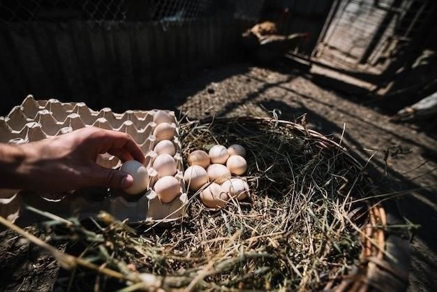 Дождь на Пасху: народные приметы, суеверия и научная точка зрения