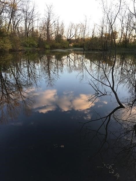 Возможные причины отсутствия воды в Донецке