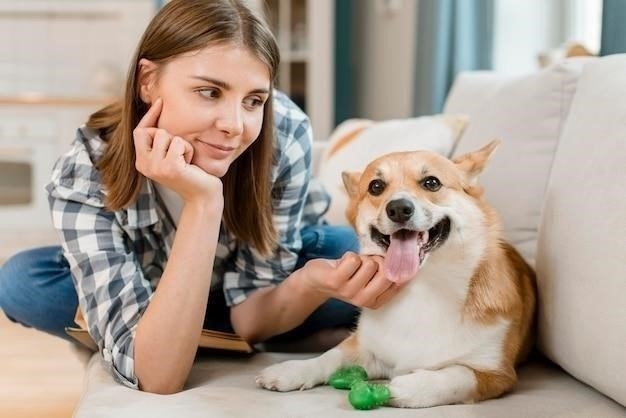 Почему собака постоянно облизывает хозяина?